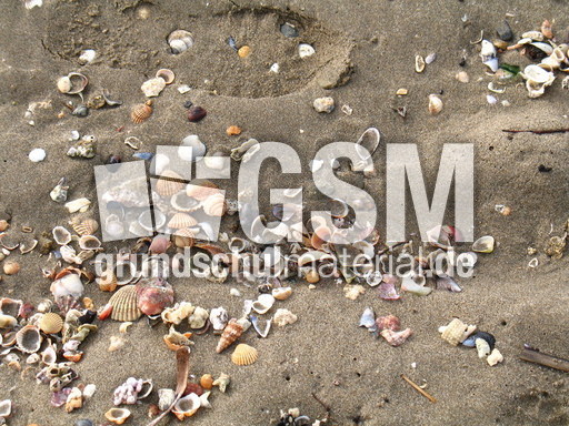 Spanien Andalusien Marbella 009.JPG